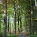 23 04 2010 Voorbereiding Dijle wand Oude Bemde ,Meerdalwoud 073