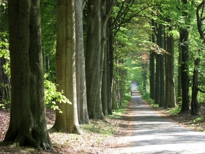 23 04 2010 Voorbereiding Dijle wand Oude Bemde ,Meerdalwoud 076