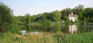 23 04 2010 Voorbereiding Dijle wand Oude Bemde ,Meerdalwoud 078