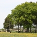 uitstap dassen 004