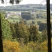 uitstap dassen 008