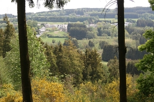uitstap dassen 008
