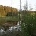 uitstap dassen 014