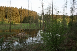 uitstap dassen 014