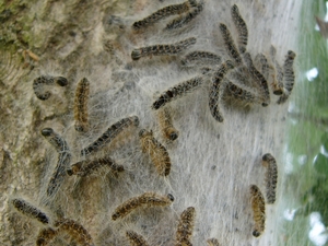 P1280583