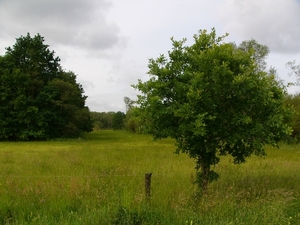 P1280584