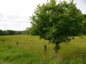 P1280585