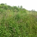 P1280638