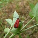 P1280669