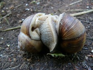 P1280684