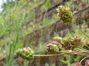 P1280713