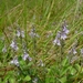 P1280721