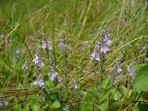 P1280721