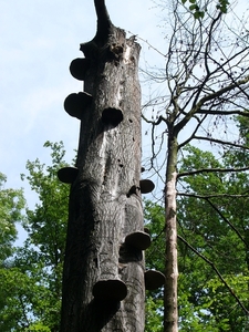 P1280728
