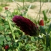 P1280749