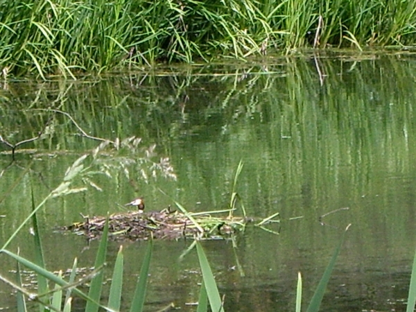 den bunt 025