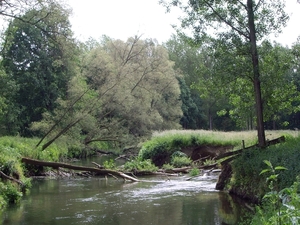 den bunt 029