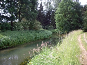 den bunt 031