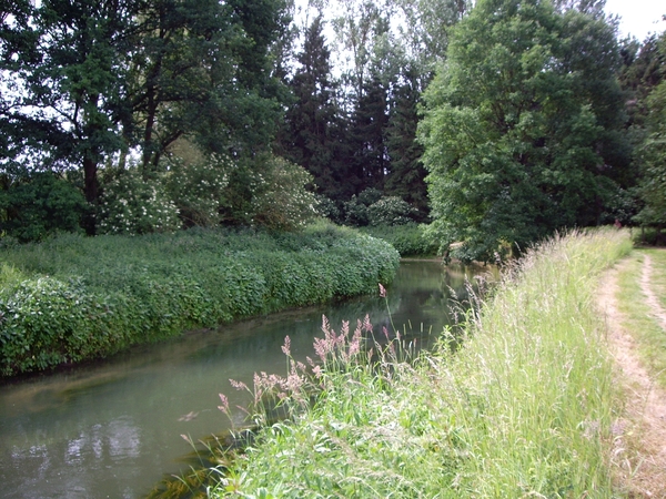 den bunt 031