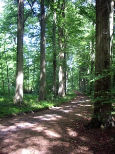 den bunt 040