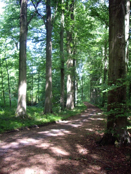 den bunt 040