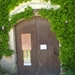 Graveson11