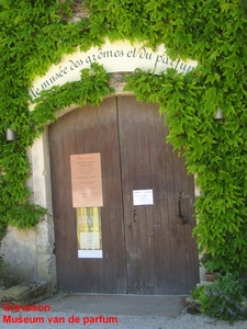 Graveson11