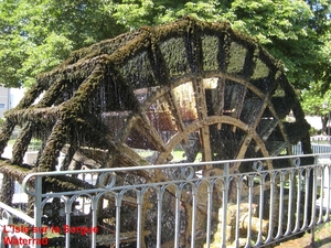 L'Isle sur la Sorgue 4