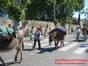 Saint-Rémy-de-Provence 9a
