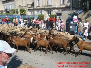 Saint-Rémy-de-Provence 9g