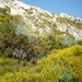 Colline de lave - Lipari