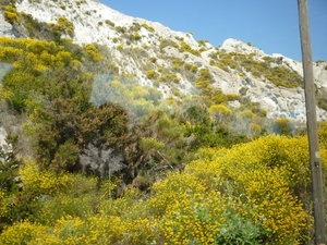 Colline de lave - Lipari