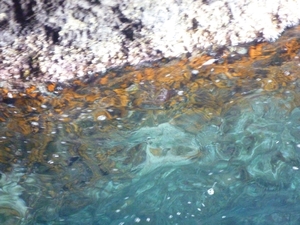 Fond de l'eau - grotte du Cheval