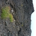 Champ de lave sur l'Etna