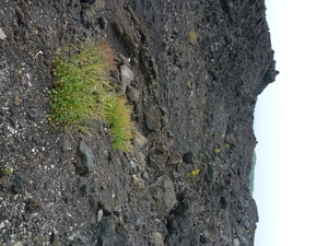 Champ de lave sur l'Etna