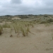 05 duinen