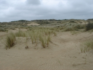 05 duinen