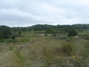 06 duinen