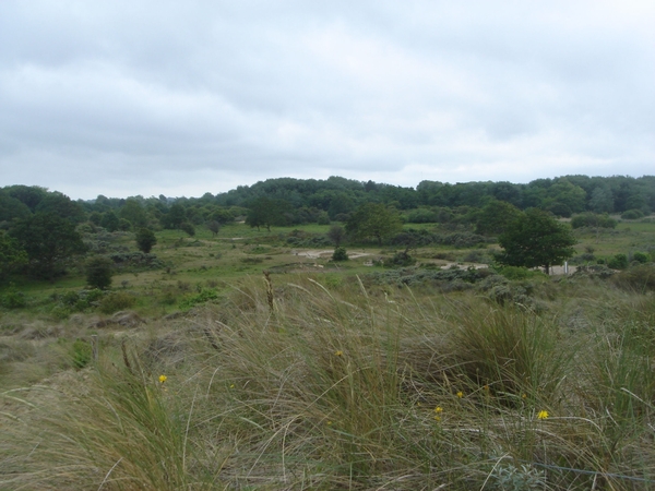 06 duinen