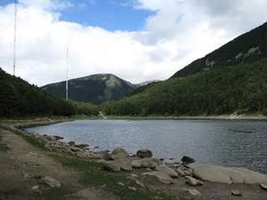 IMG_0041