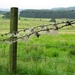 SCHOTLAND 014