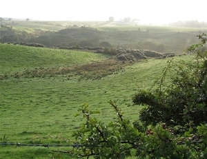 SCHOTLAND 033