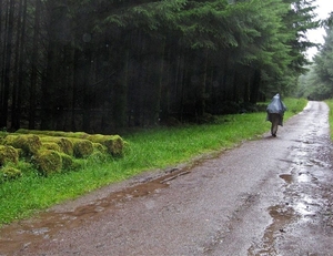 SCHOTLAND 036