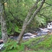 SCHOTLAND 044