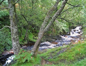 SCHOTLAND 044