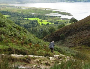 SCHOTLAND 051