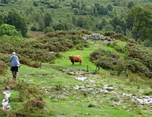 SCHOTLAND 052
