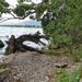 SCHOTLAND 061