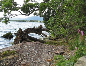 SCHOTLAND 061