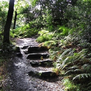 SCHOTLAND 067
